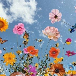 Meet your Posher, Val